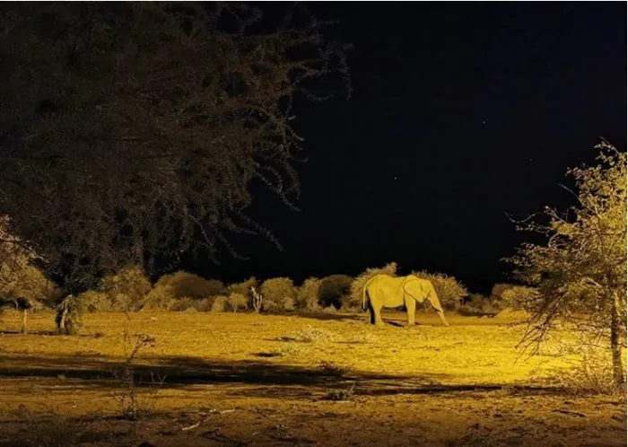 Överraska din Instagram-följare med otroliga nattbilder!