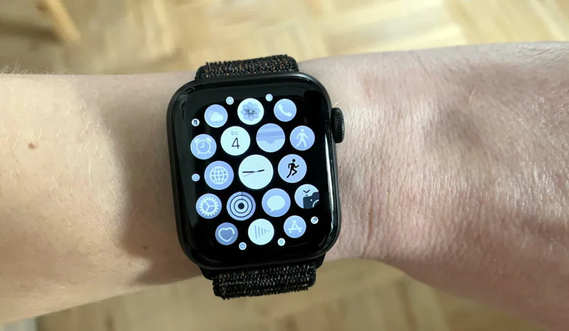Apple Watch монохромный режим экрана