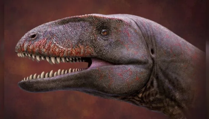 Dinozaver z "zobmi morskega psa" je bil večji od tiranozavra