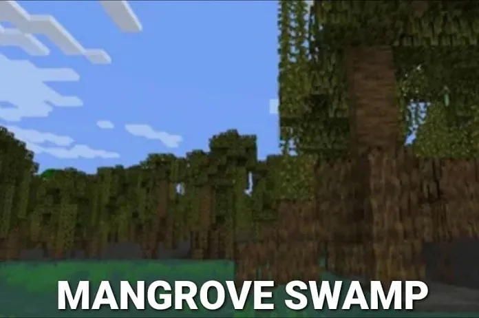 Mangrove Swamp in Minecraft 2022