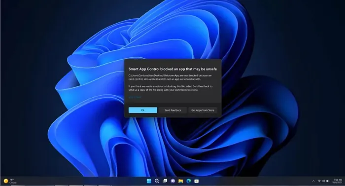 Windows 11