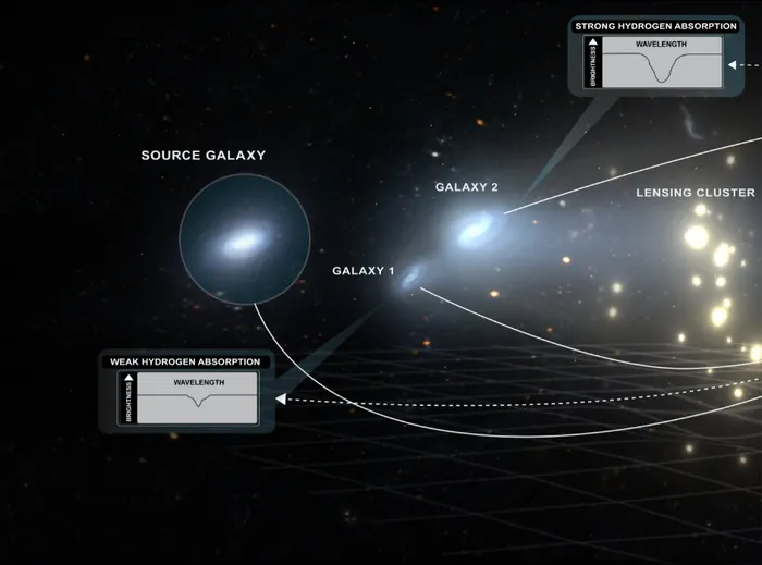 Судлаачид залуу ертөнцийг судлахын тулд галактикийг сансрын дуран болгон ашигладаг