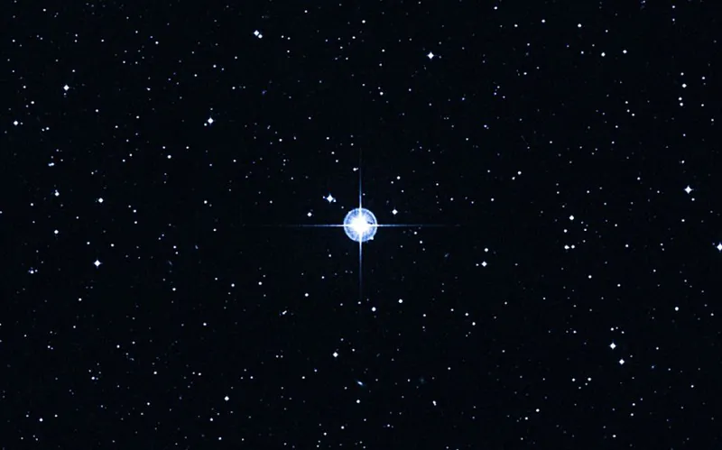 a estrela de Matusalém