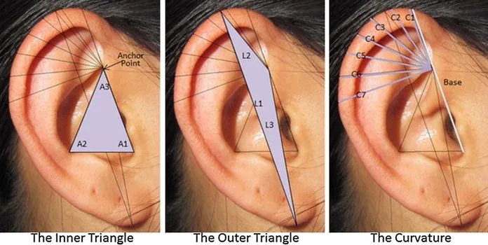 Den nye teknologien gjenkjenner ansiktet ved å skanne ørene