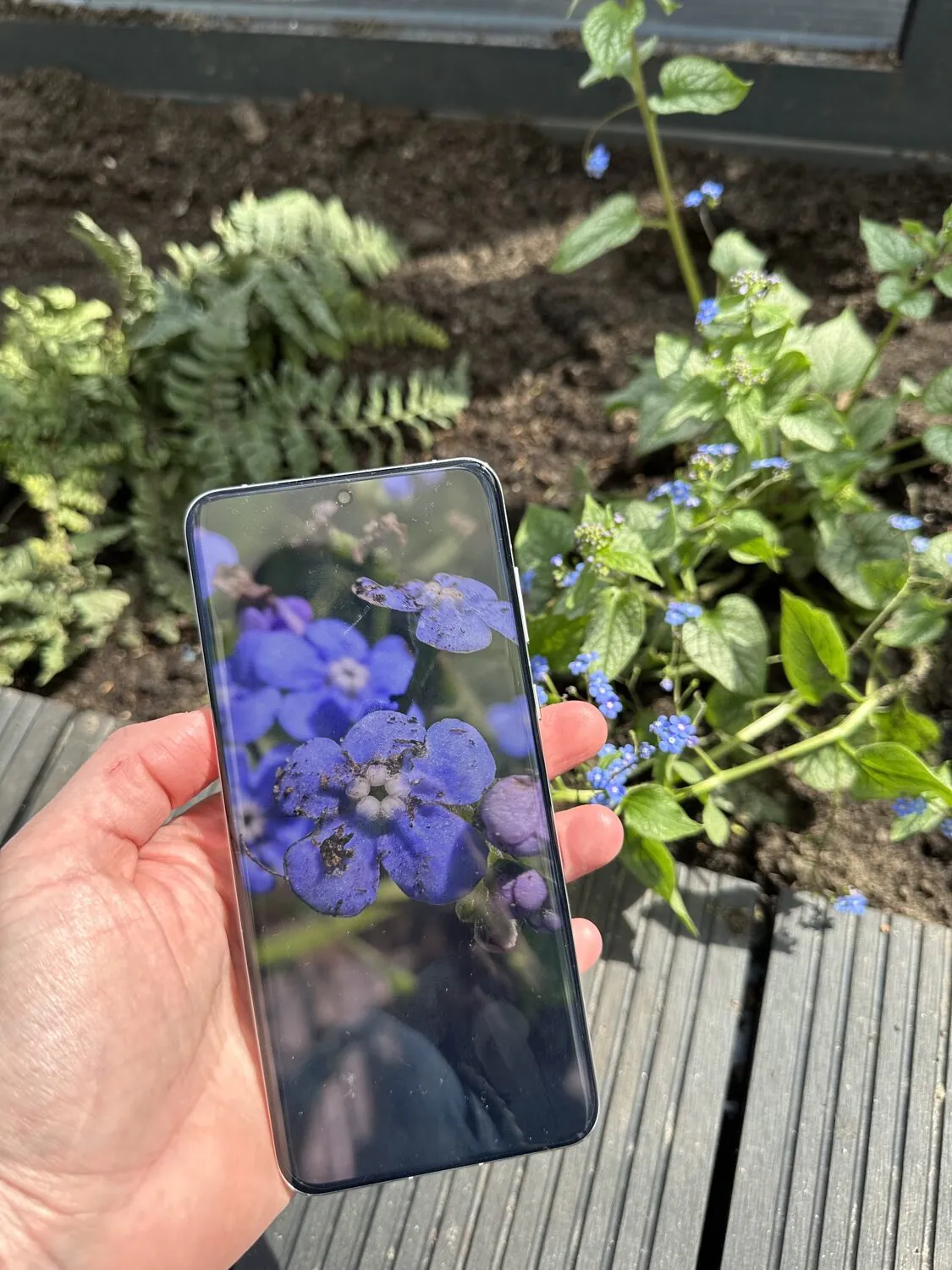 P60 Pro