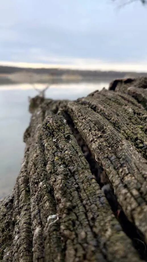 Sony Xperia 5 IV