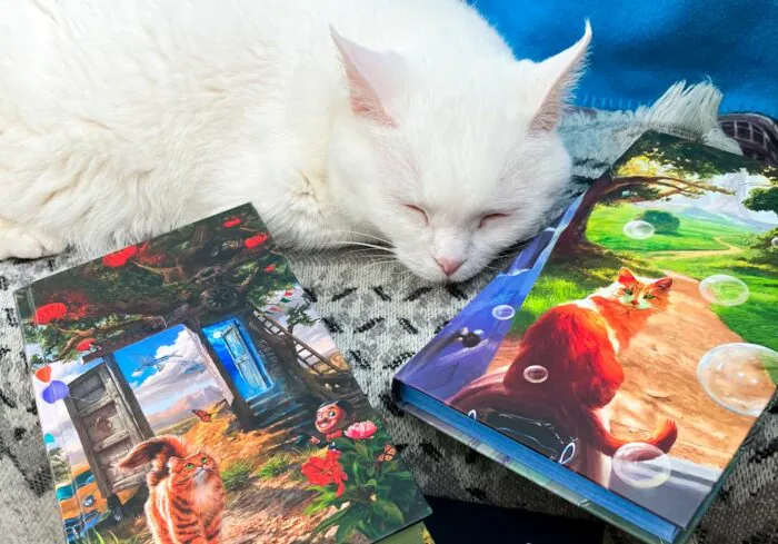 کتاب بدون گربه یکسان نیست
