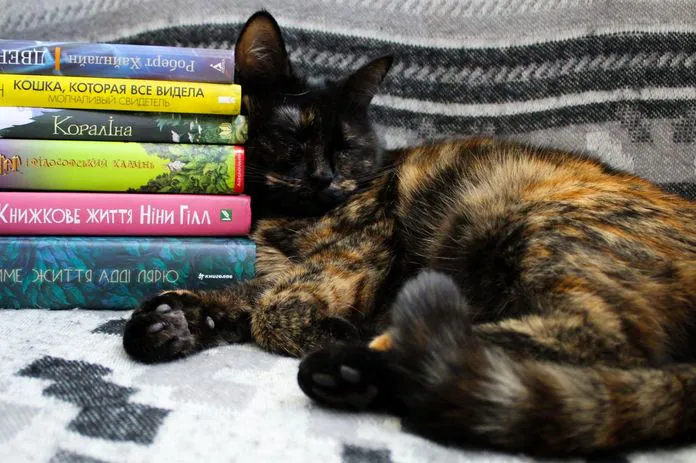 Kniha nie je rovnaká bez mačky