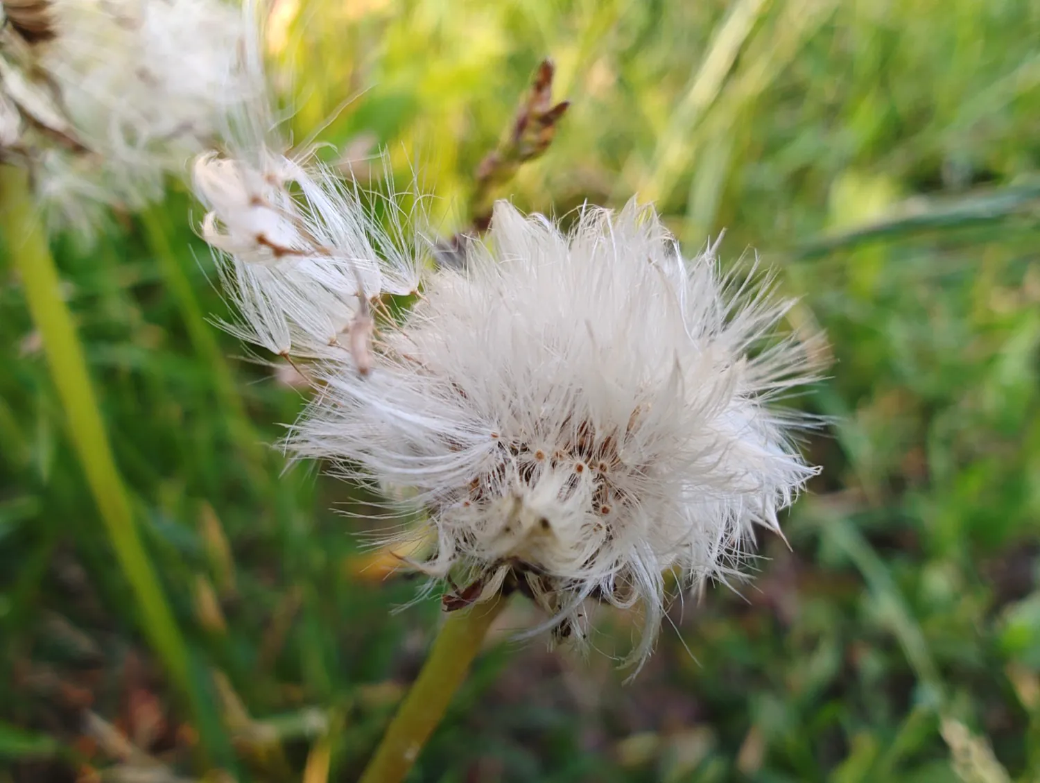 edge 40 Pro photos