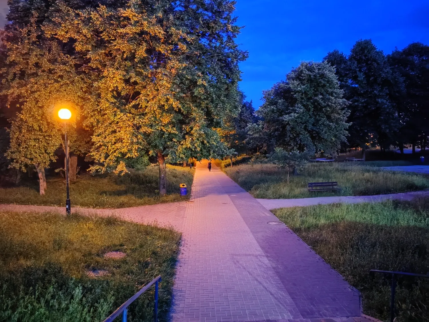 Nova 11 Pro night photo