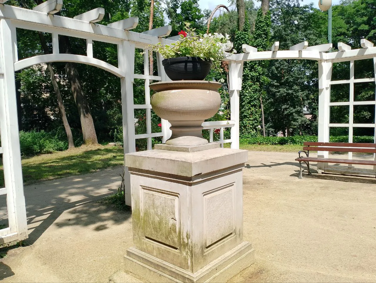 realme C53 photo