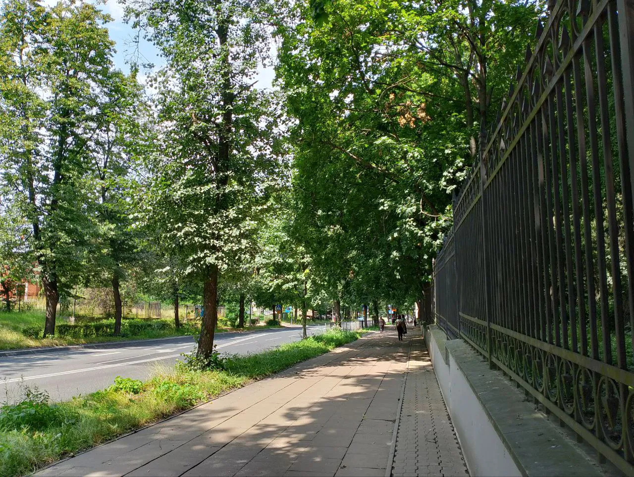 realme C53 photo