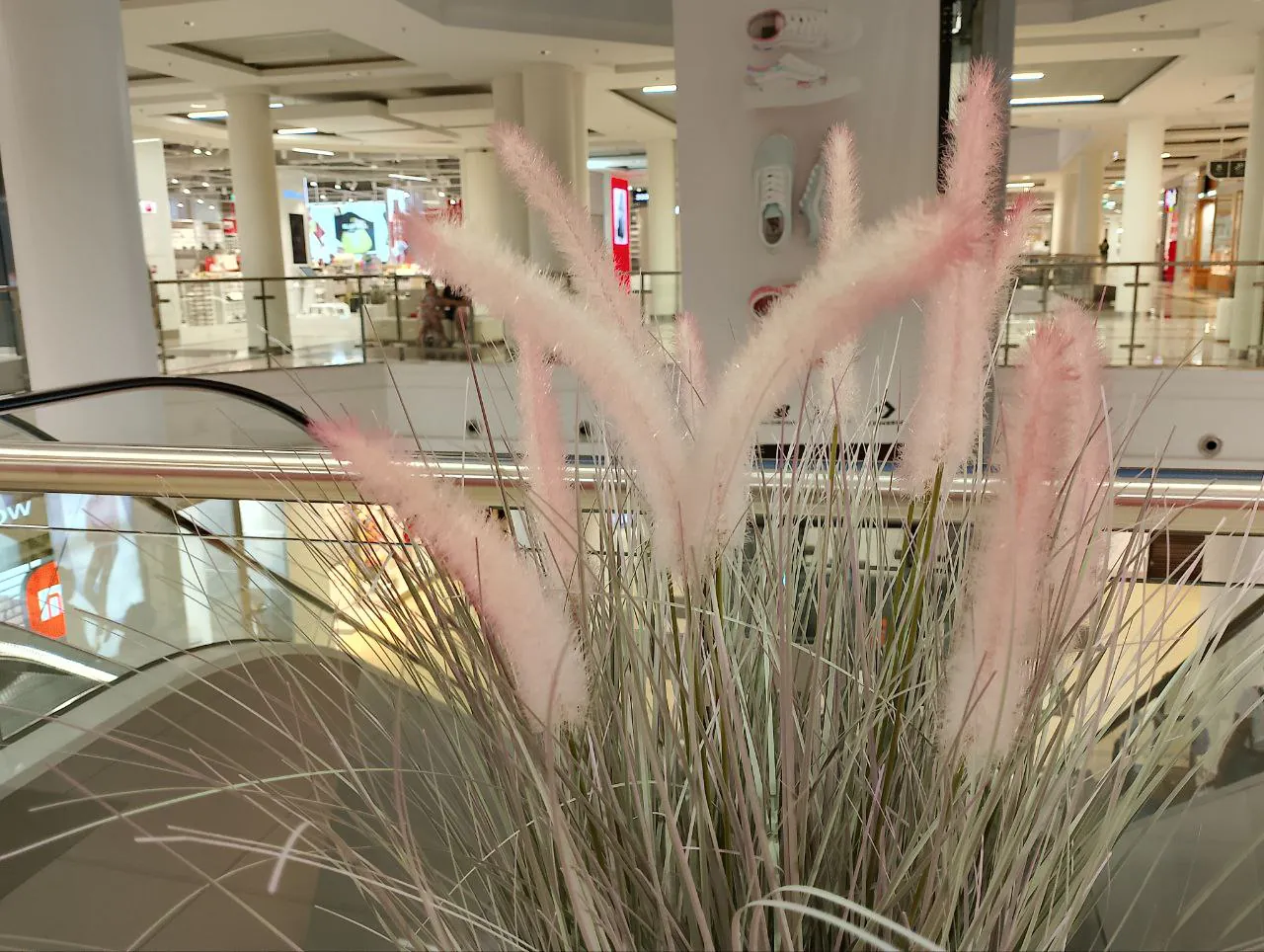 realme C53 photo