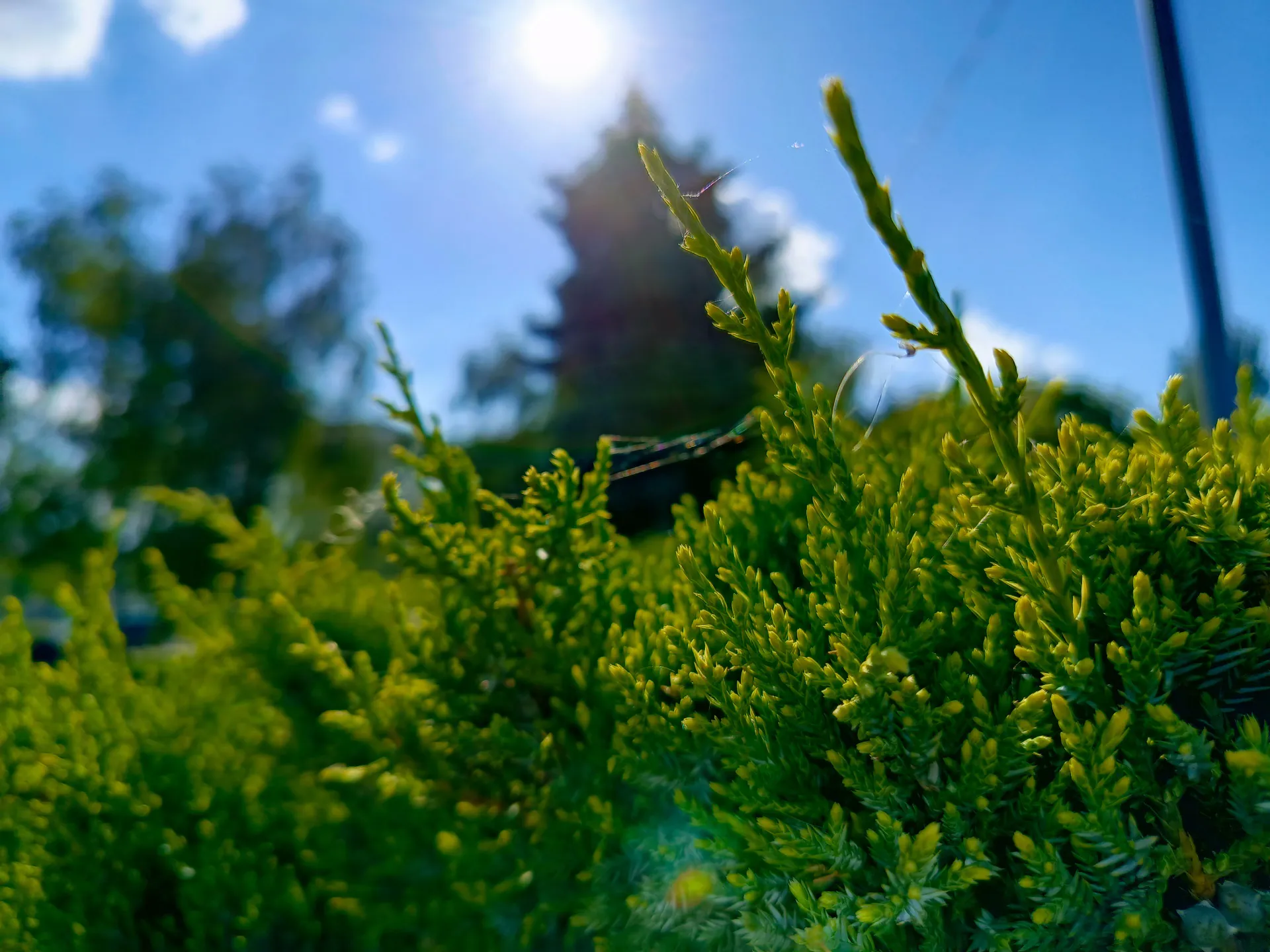 Infinix GT 10 Pro