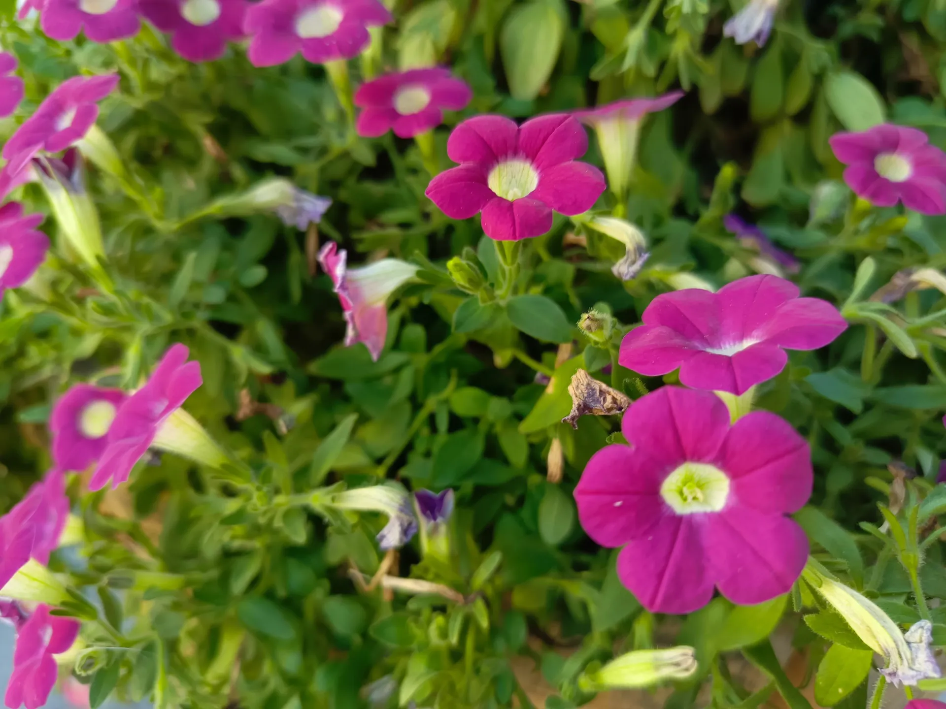 Infinix GT 10 Pro