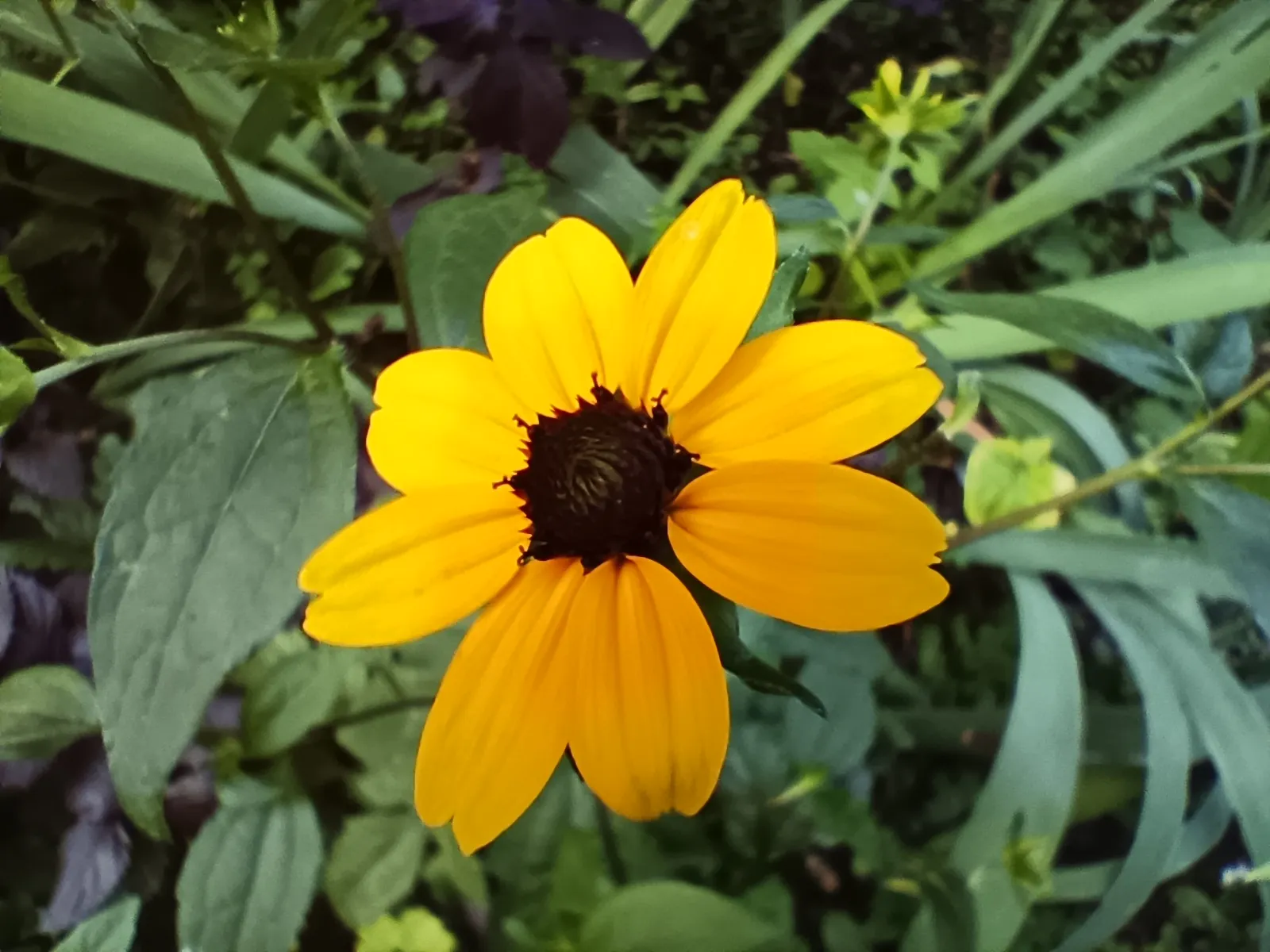 Infinix GT 10 Pro