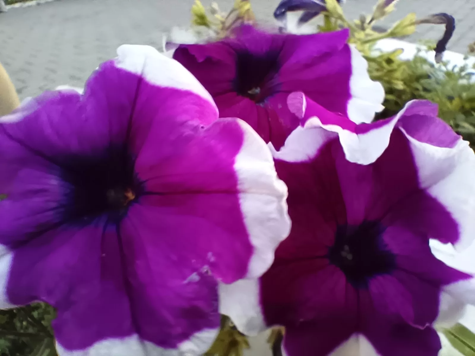Infinix GT 10 Pro