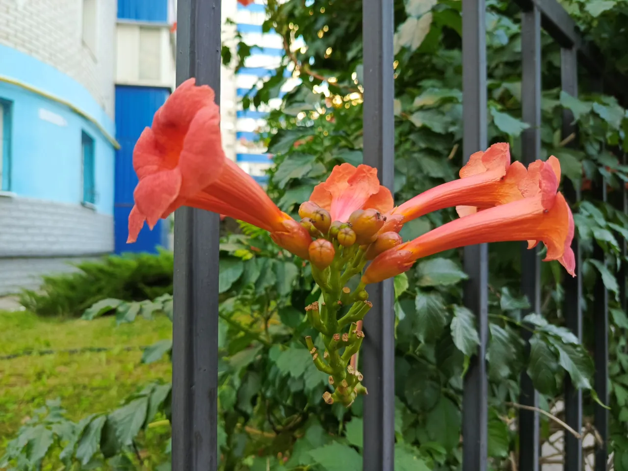 Infinix NOTE 30 Pro photo_15