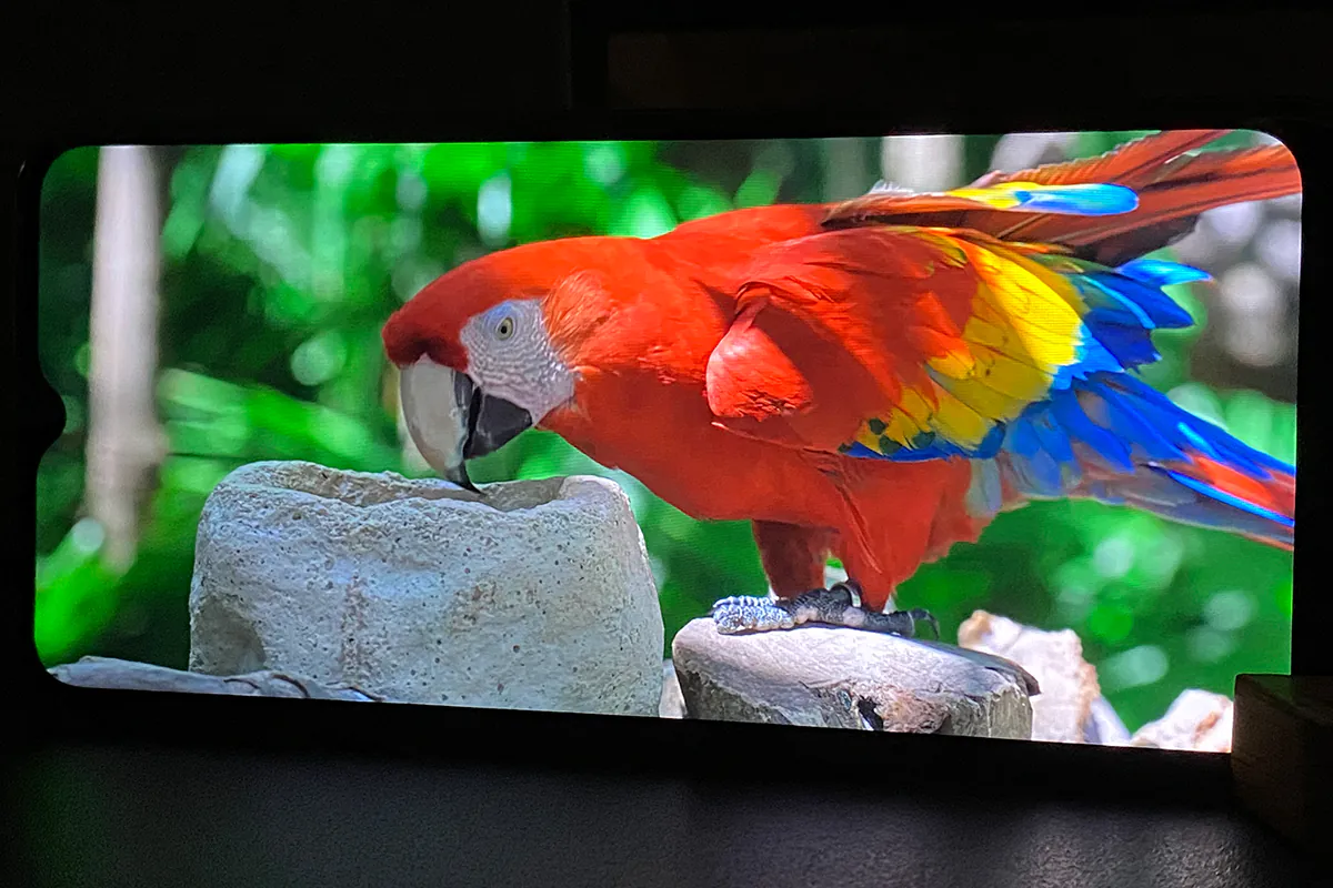 Cubot Note 50