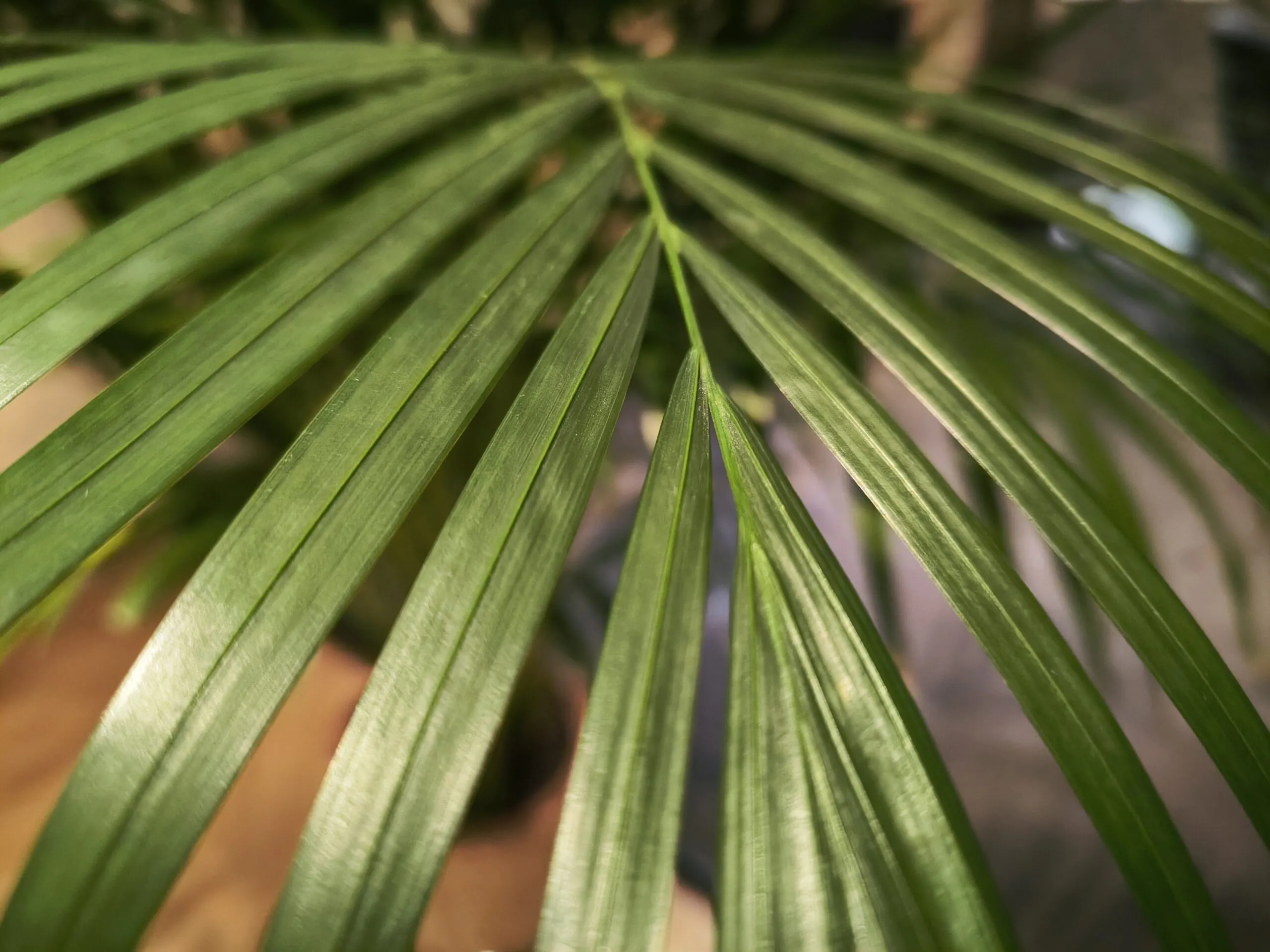 Xiaomi 13T photo