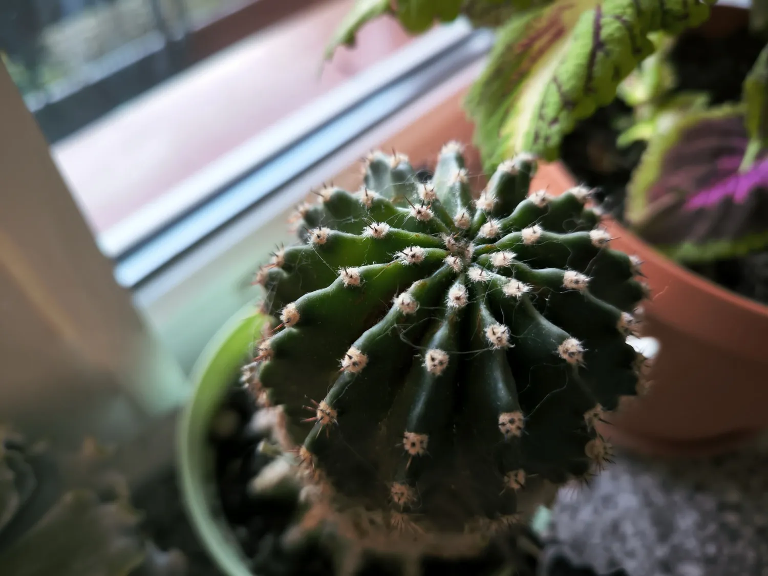 Xiaomi 13T photo
