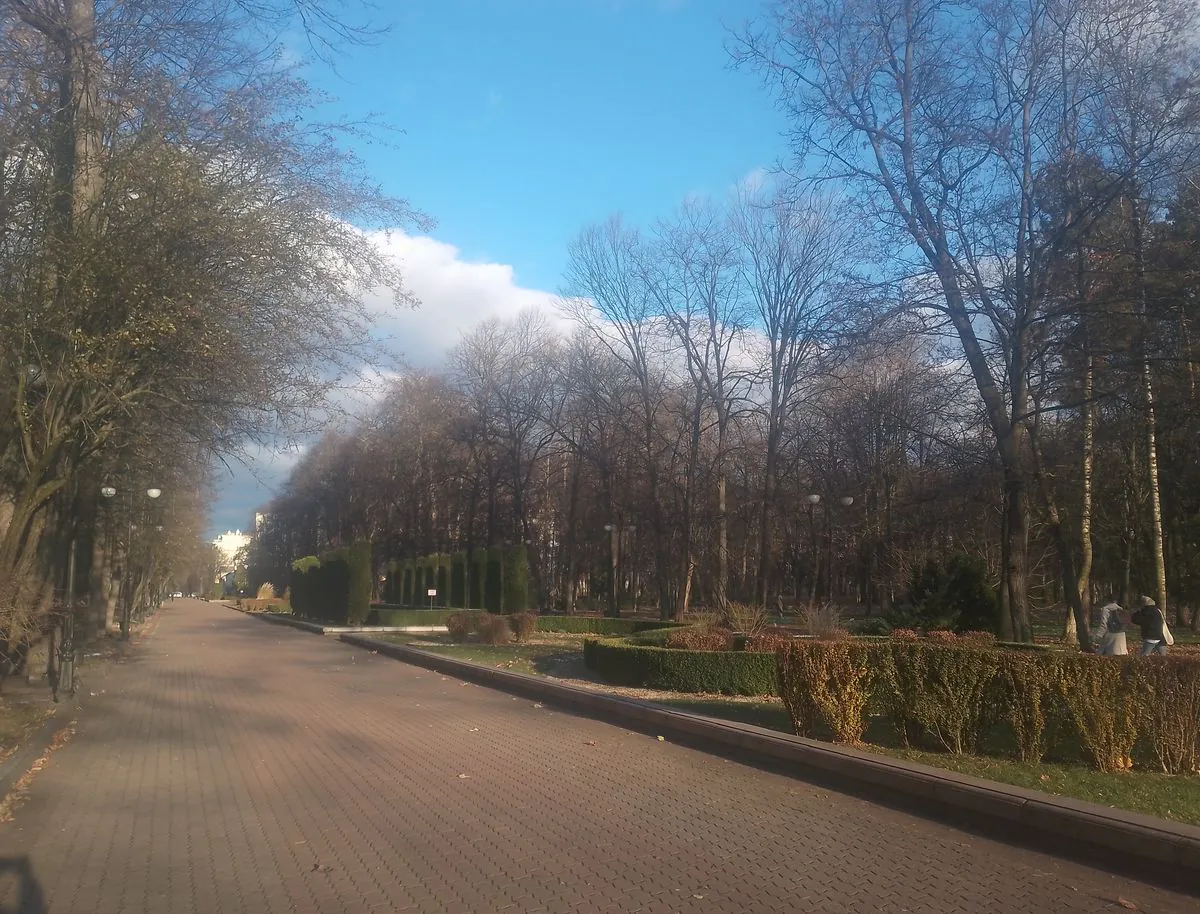 Cubot Note 40 camera sample
