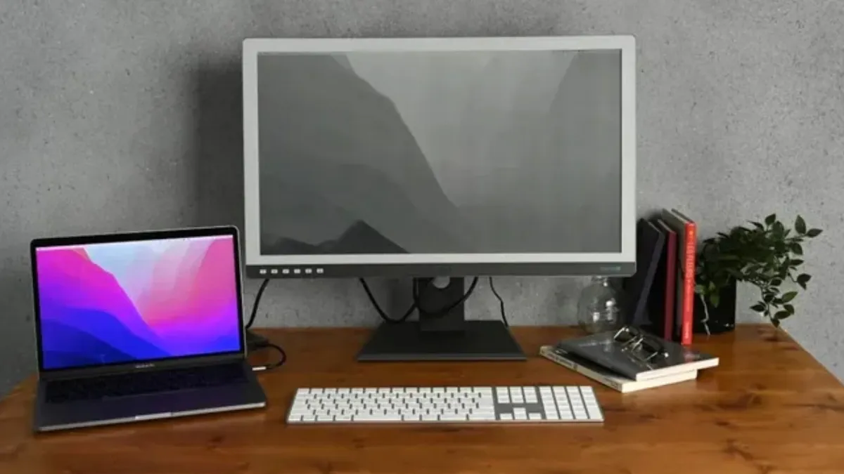 Dasung-curved-E-Ink-monitor