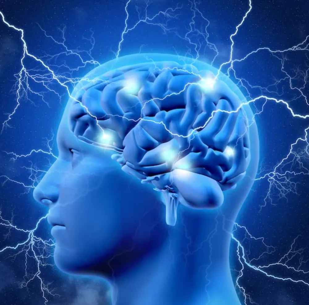 Human Brain Project