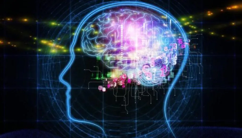 Human Brain Project