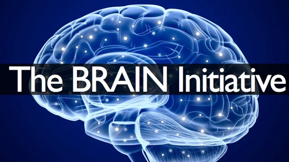 Human Brain Project