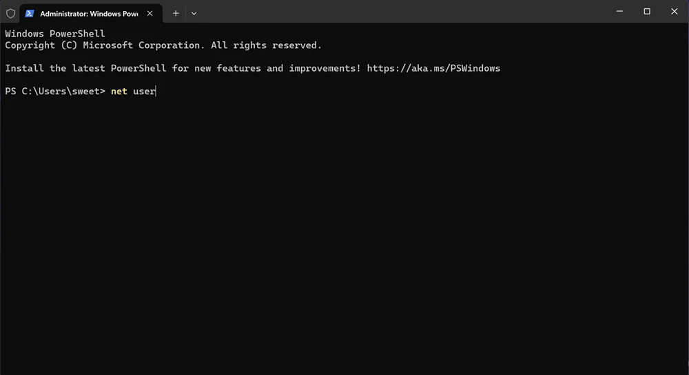 Password Windows 11