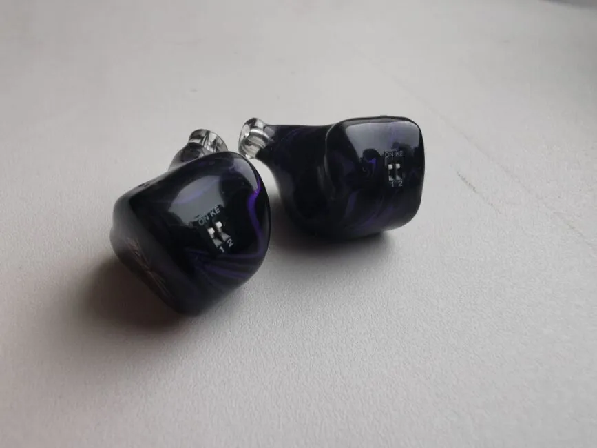 Kiwi Ears Quartet case