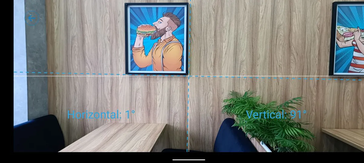 DOOGEE V30 Pro Pic Hanging