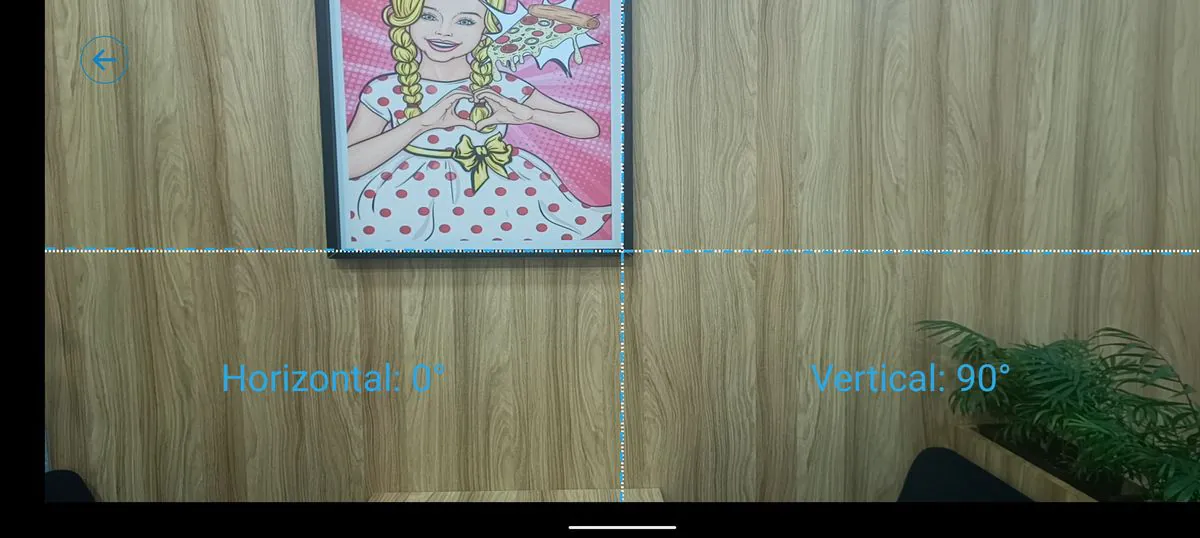 DOOGEE V30 Pro Pic Hanging