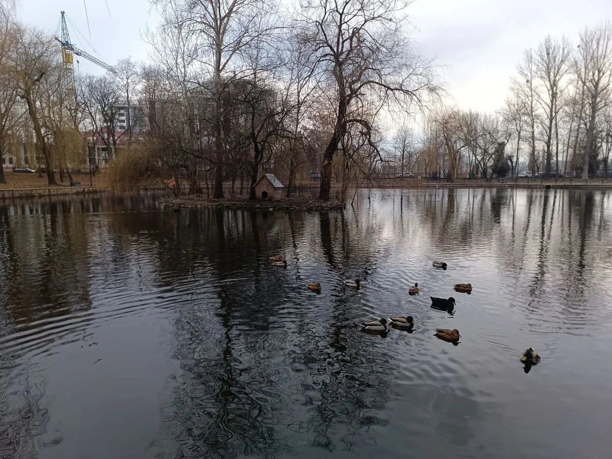 DOOGEE V30 Pro camera sample