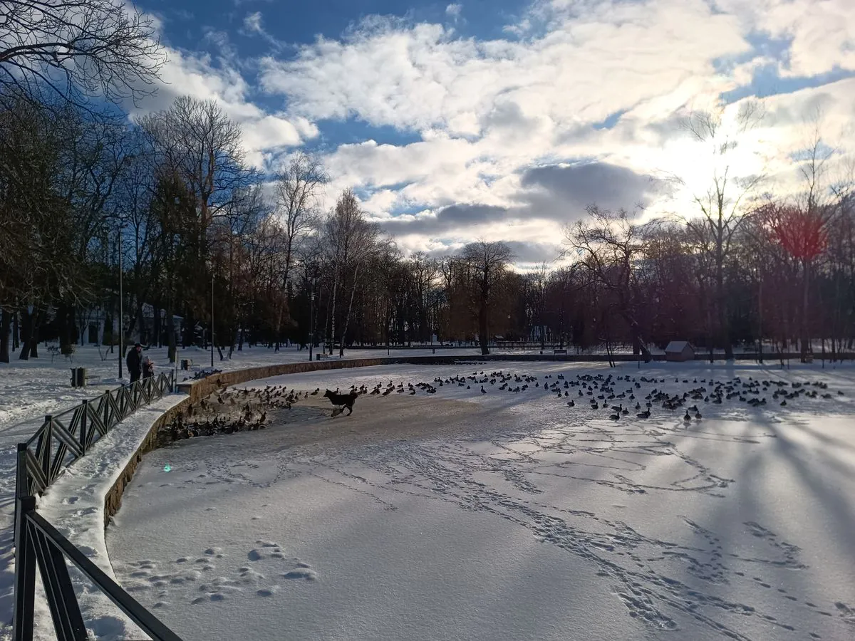 DOOGEE V30 Pro camera sample