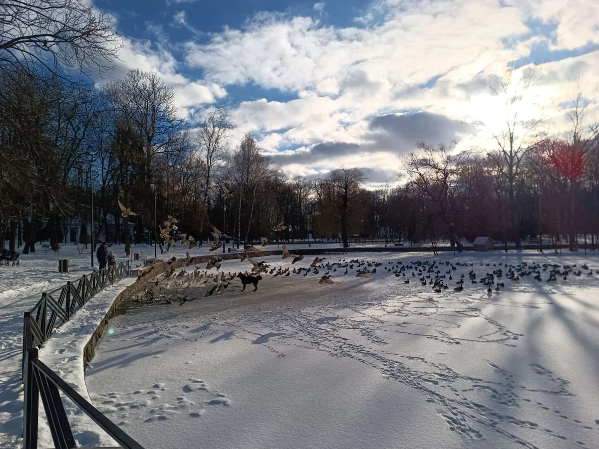 DOOGEE V30 Pro camera sample