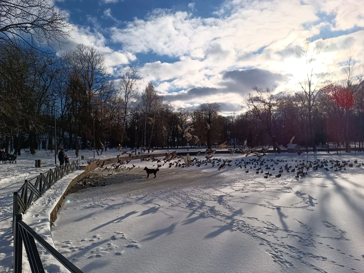 DOOGEE V30 Pro camera sample