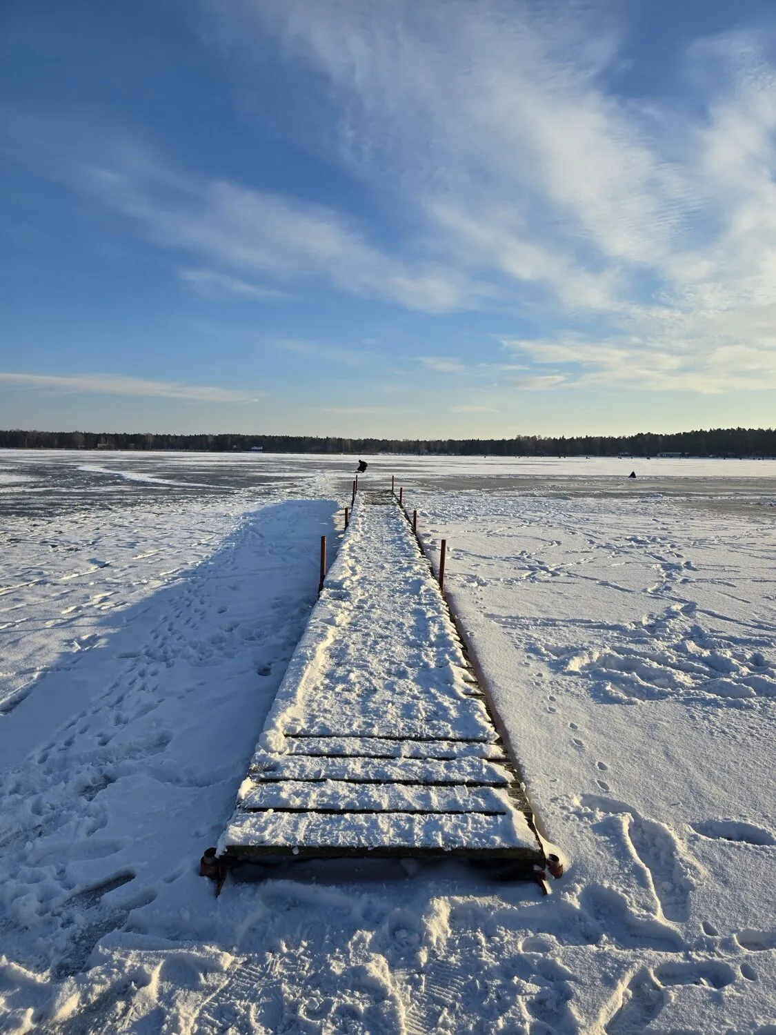Samsung Galaxy S24 Ultra photo