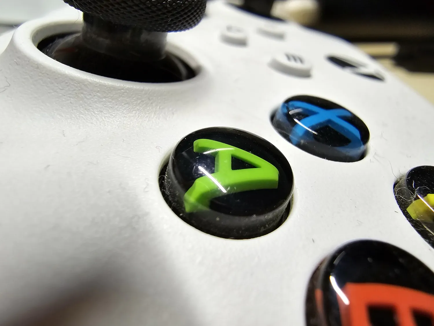 S24 Ultra macro photo