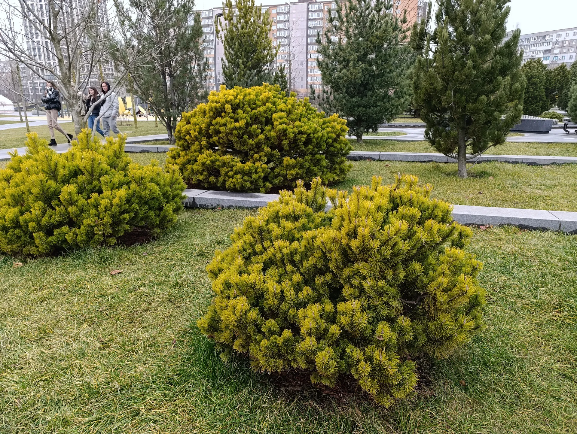 Redmi Note 13 Pro