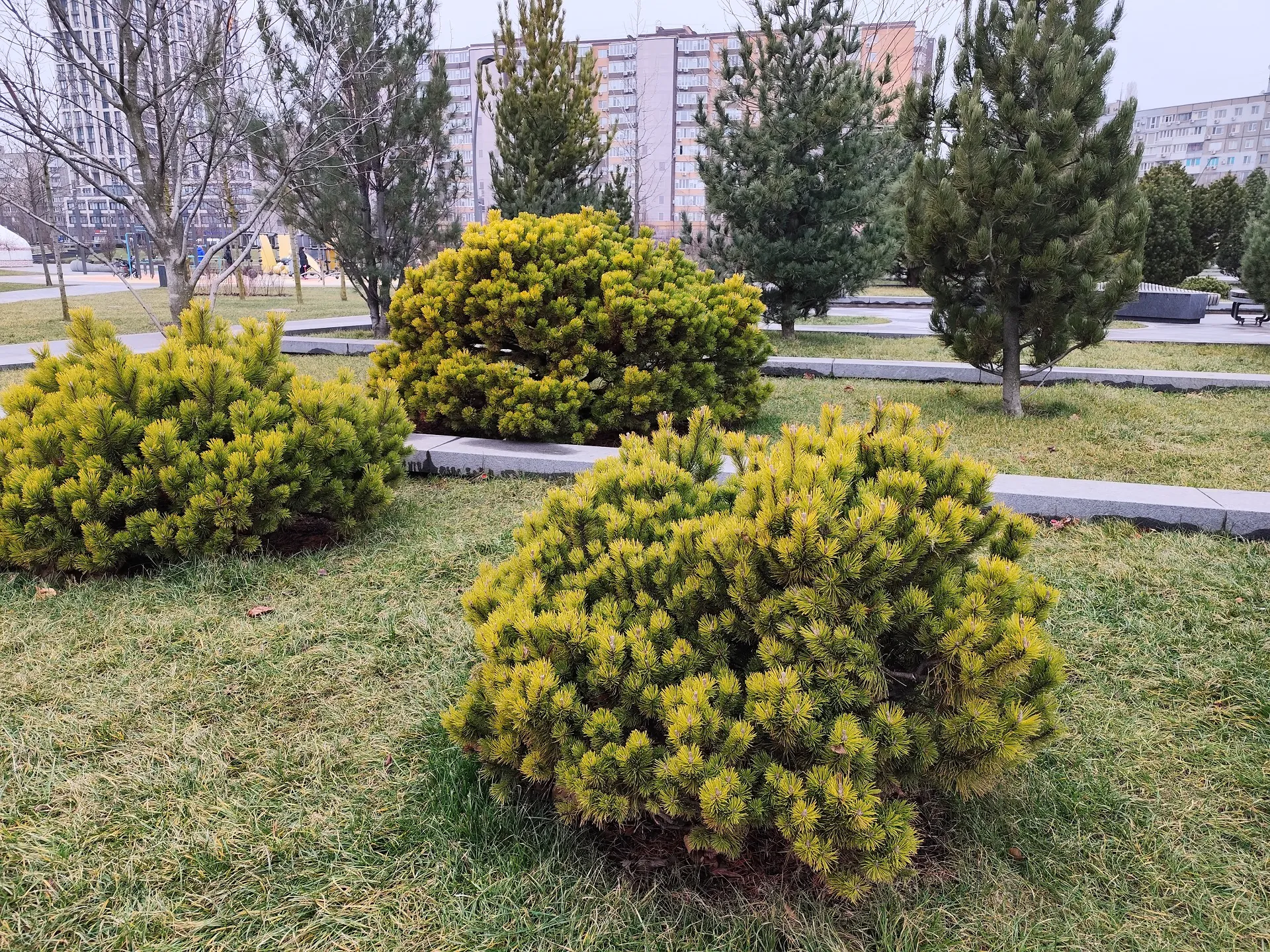 Redmi Note 13 Pro 5G