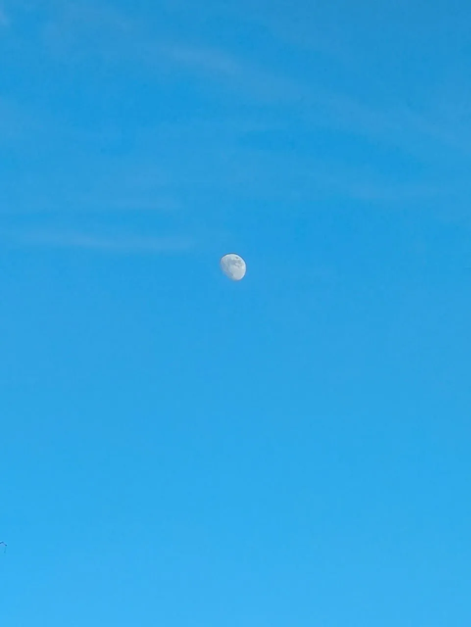 POCO Х6 Pro photo samples