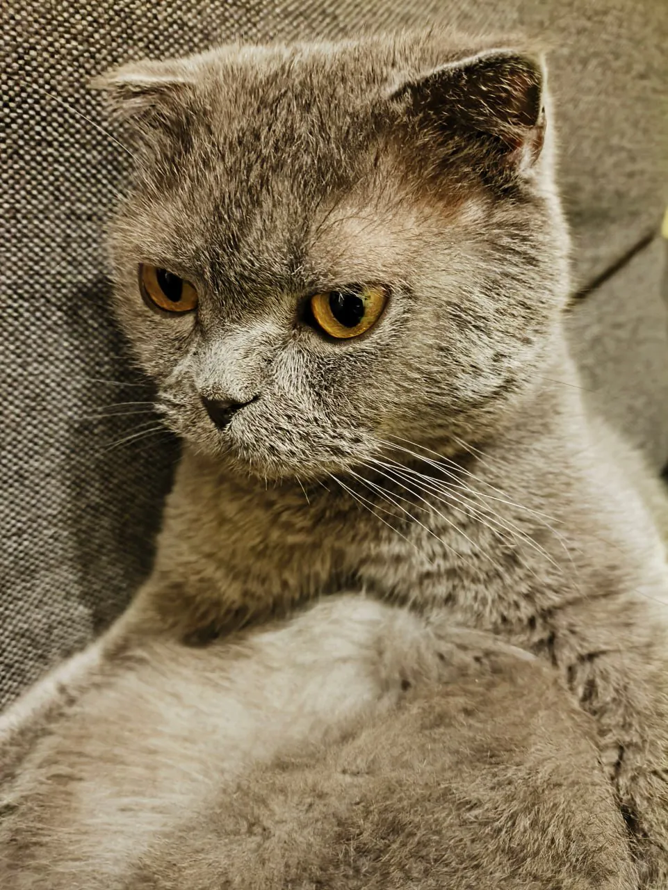POCO Х6 Pro photo samples
