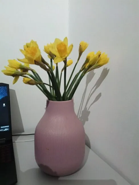 Cubot TAB 50 photo