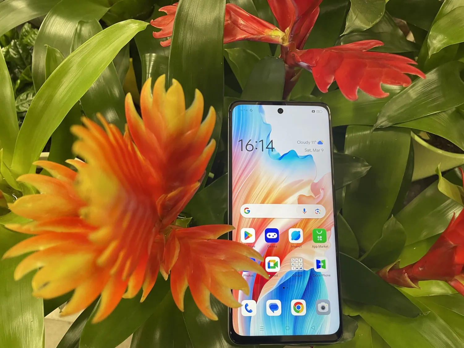 OPPO A79