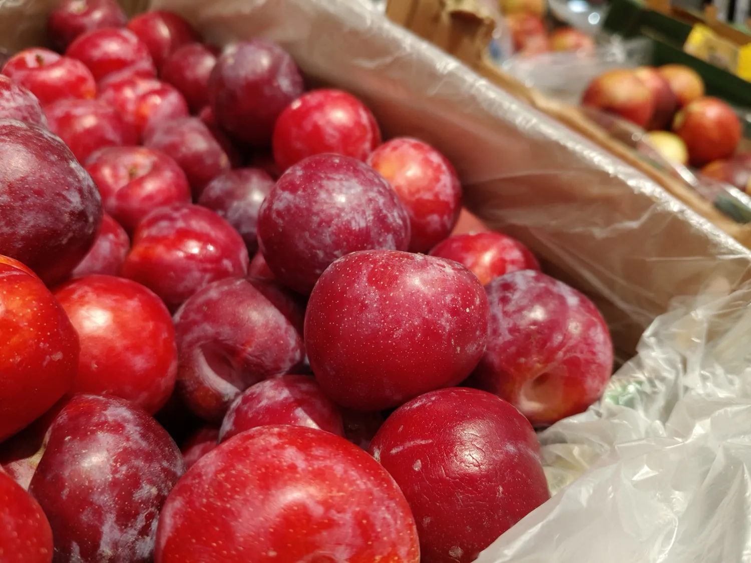 realme 12 Pro photo