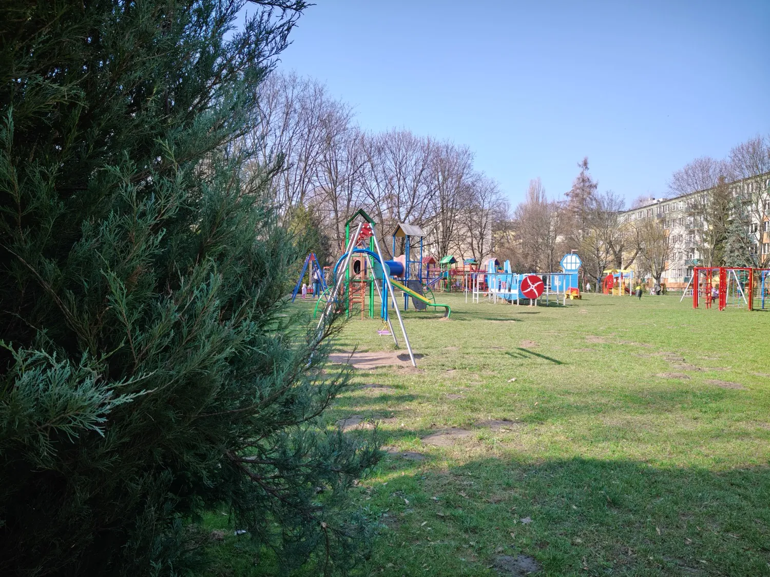 realme 12 Pro photo
