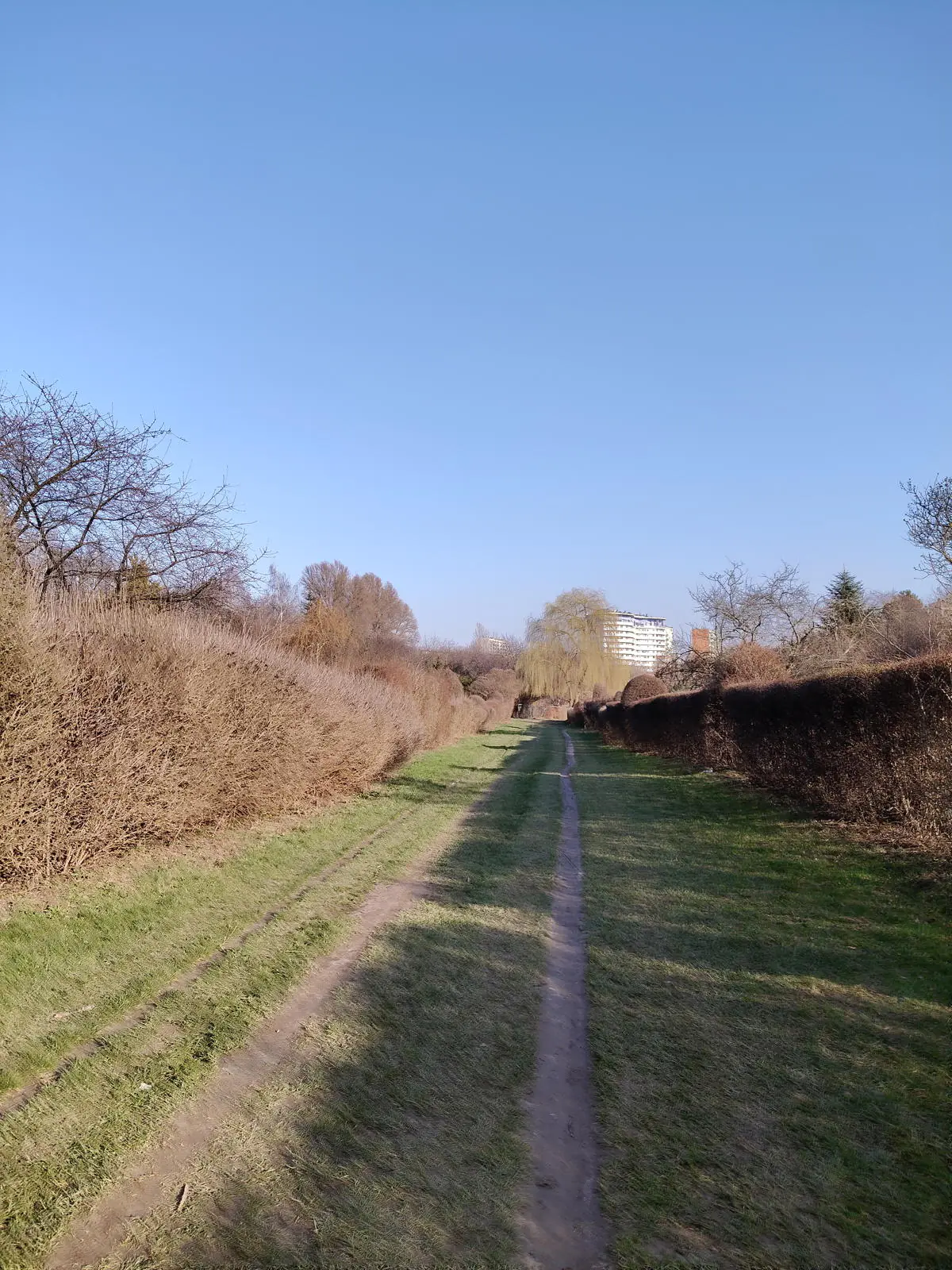 realme 12 Pro photo