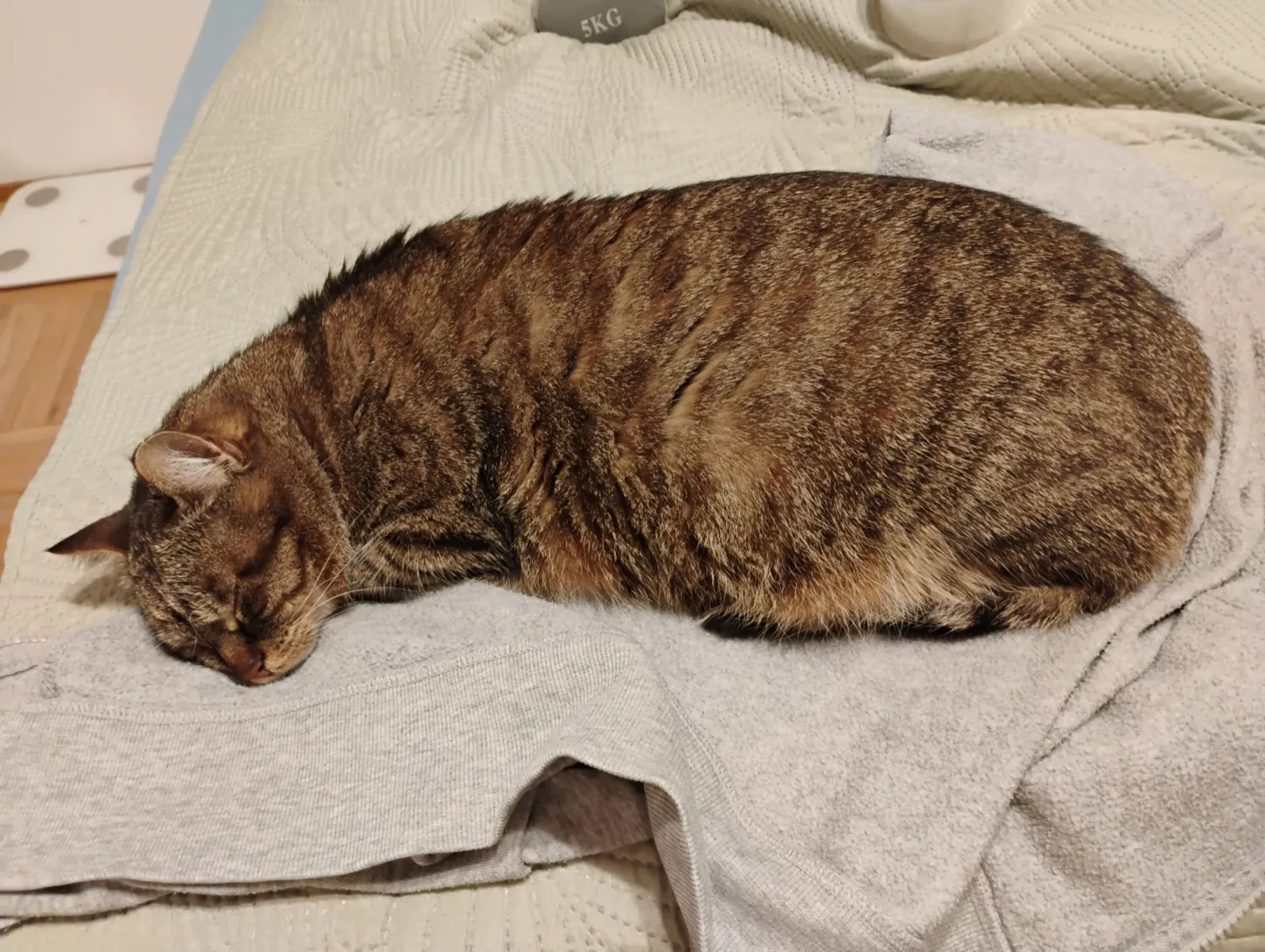 Moto G34 5G photo